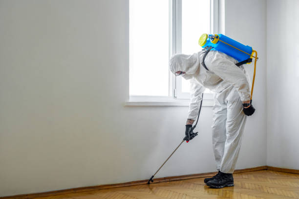 Flea Control Services in Cayuga, IN