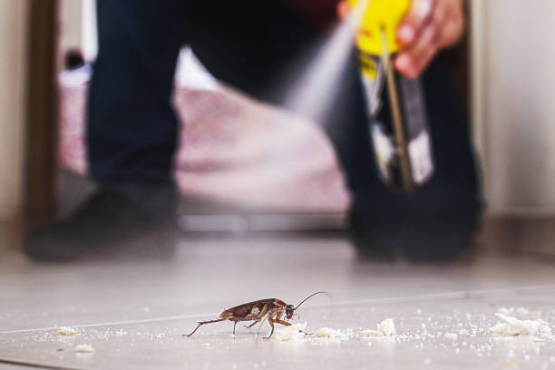 Best Pest Control Near Me  in Cayuga, IN